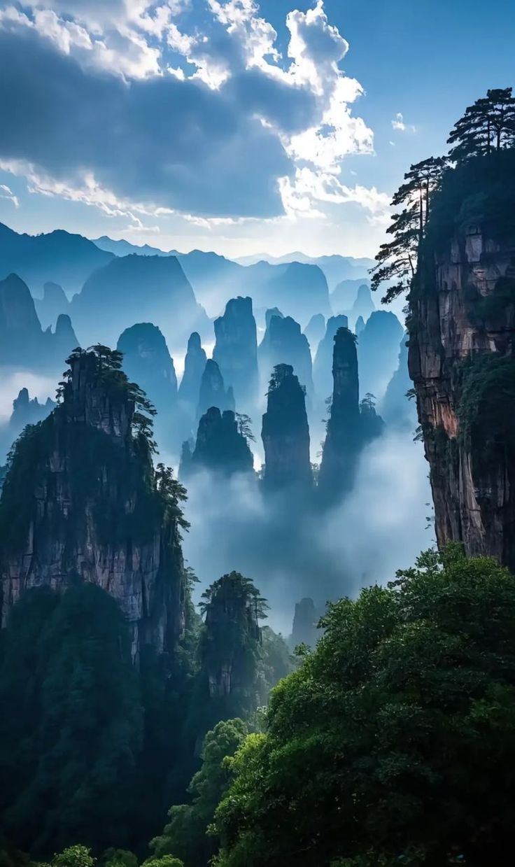 Stone pillars of Zhangjiajie