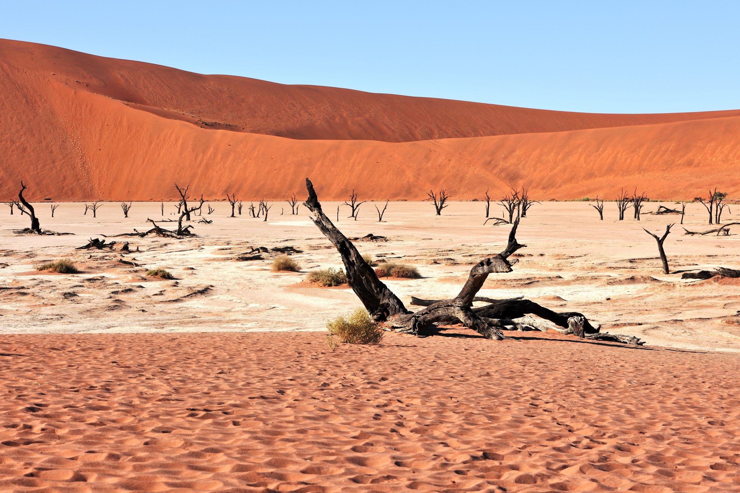 Red dunes of the Namib desert